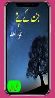 Jannat K Pattay - Nimra Ahmed Urdu Novel Affiche