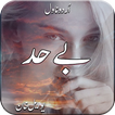 Behad Romantic Urdu Novel