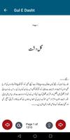 Gul E Dasht Urdu Romantic Novl Ekran Görüntüsü 3