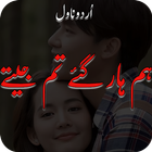 Hum Haar Gaye Tum Jeete Novel icon
