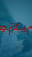 Hum Haar Gaye Tum Jeete Novel poster