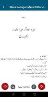 Mera Sodagar Mera Dildar novel screenshot 3