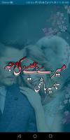 Mere Jeene Ki Wajah Urdu Novel poster