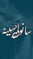 Sanwli Haseena poster