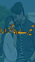 Tere Bina Guzara Urdu Novel poster