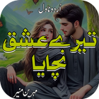 Tere Ishq Nachaya Urdu Novel icon