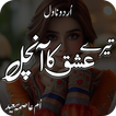 Tere Ishq Ka Aanchal Urdu Novl