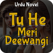 Tu He Meri Deewangi