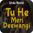 Tu He Meri Deewangi APK