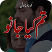 Tum Kia Jano Romantic Novel