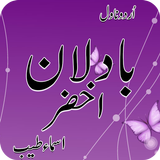 Badlan e Akhzar Romantic Novel icon