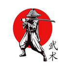 Kung Fu Training Wing Chun icon
