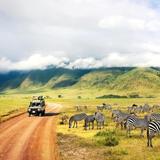 Africa Safaris