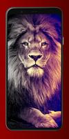 Lion Wallpapers 4K Affiche