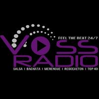 Voss Radio capture d'écran 2