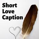 Short Love Captions APK