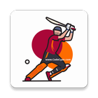 D11 Cricket & Kabaddi Predictions icon