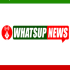 Switch On آئیکن