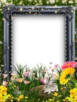 Flower Photo Frames, Lovely Flower Frame capture d'écran 2