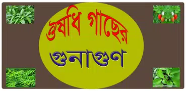 ঔষধি গাছের গুনাগুণ