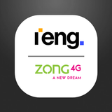 IENG-ITSM-ZONG