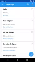 Learn Vietnamese Phrasebook Screenshot 1