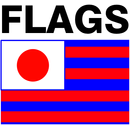 US State Flags Game APK