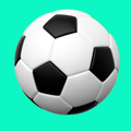 Ball Runner