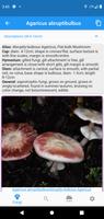 Fungi Booklet स्क्रीनशॉट 2