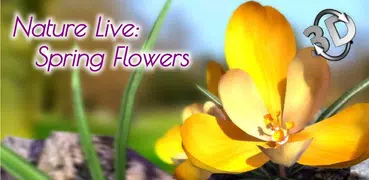 Natur Live Frühlingsblumen 3D