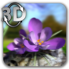 Natur Live Frühlingsblumen 3D Zeichen