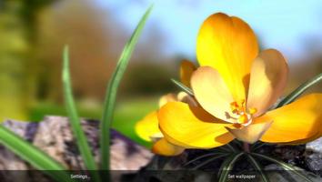 Natur Live Frühlingsblumen 3D Screenshot 2