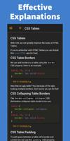 Learn CSS - Pro capture d'écran 1