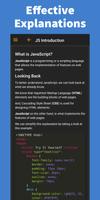 Learn JavaScript - Pro screenshot 1