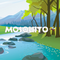 Mosquito