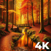 Autumn Wallpapers Nature 4K HD