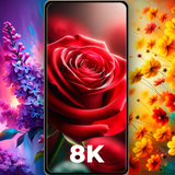 Flower Wallpapers Rose 4K - HD иконка