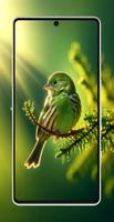 Cool Green Wallpapers 4K - HD ảnh chụp màn hình 2