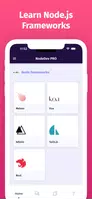 Learn Node.js Offline Fast PRO screenshot 5