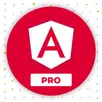 Learn Angular: AngularDev PRO APK