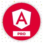 Learn Angular: AngularDev PRO biểu tượng