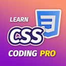 Learn CSS Programming (PRO) APK