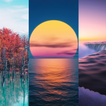 Macro Wallpapers & Cute Wallpapers - MacroWallp