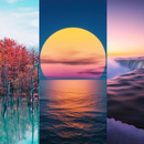 Macro Wallpapers & Cute Wallpapers - MacroWallp APK
