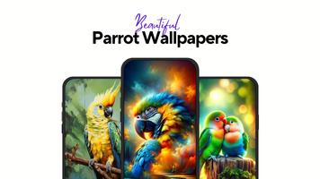 Parrot Wallpapers Cute 4K - HD الملصق