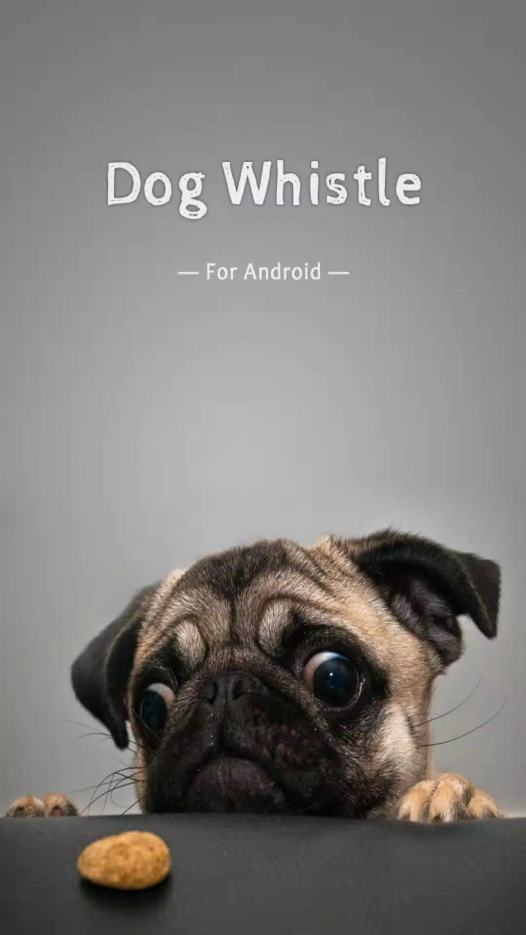 Can A Dog Whistle Go Through Walls