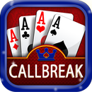 Callbreak Offline Lite APK