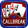 Callbreak Offline Lite