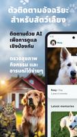 My Buddy โปสเตอร์