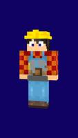 Builder Skin For Minecraft poster